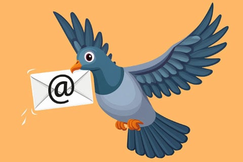 Brieftaube liefert E-Mail-Newsletter